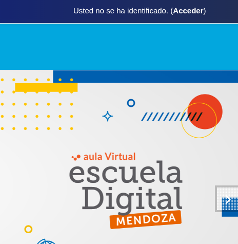[Captura de pantalla mostrando el botón Acceder]